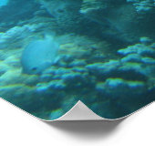 Great Barrier Reef Turtle Poster (Ecke)