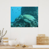 Great Barrier Reef Turtle Poster (Küche)