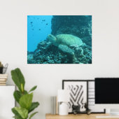 Great Barrier Reef Turtle Poster (Heimbüro)