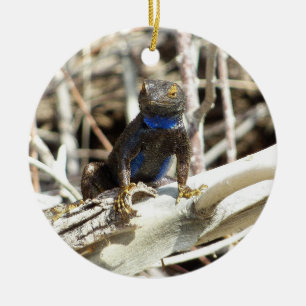 Great Basin Fence Lizard in Joshua Tree Keramikornament