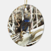 Great Basin Fence Lizard in Joshua Tree Keramikornament (Links)