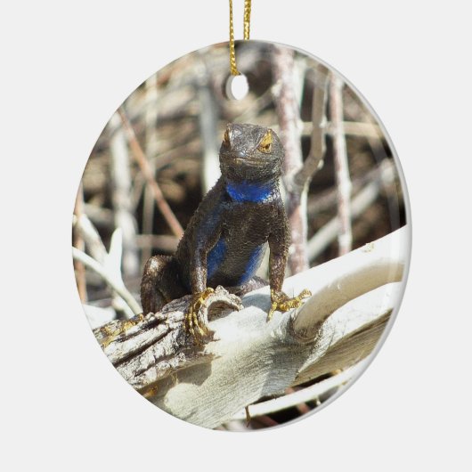 Great Basin Fence Lizard in Joshua Tree Keramikornament (Links)