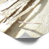 Great Basin Fence Lizard in Joshua Tree Poster (Ecke)