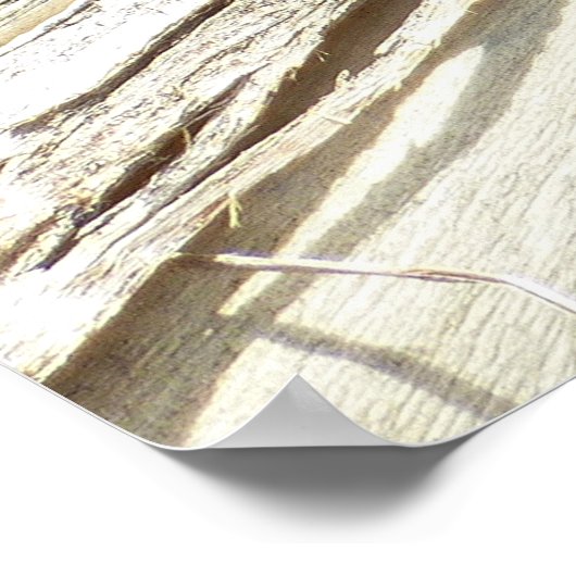 Great Basin Fence Lizard in Joshua Tree Poster (Ecke)