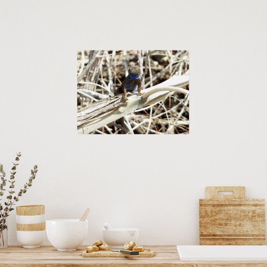 Great Basin Fence Lizard in Joshua Tree Poster (Küche)