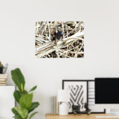 Great Basin Fence Lizard in Joshua Tree Poster (Heimbüro)