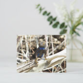 Great Basin Fence Lizard in Joshua Tree Postkarte (Stehend Vorderseite)