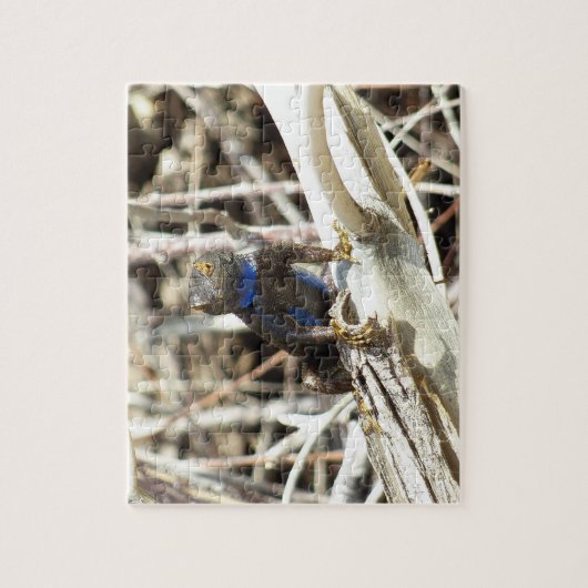 Great Basin Fence Lizard in Joshua Tree Puzzle (Vertikal)