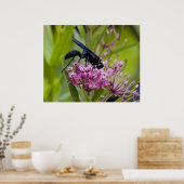 Great Black Wasp Poster (Küche)