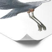 Great Blue Heroin startet Fine Art Print Poster (Ecke)