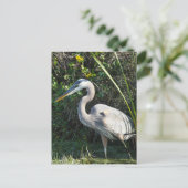 "Great Blue Heron 1." Postkarte (Stehend Vorderseite)