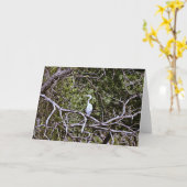 Great Blue Heron 1 Scripture Card Psalm 92:4 Karte (Gelbe Blume)