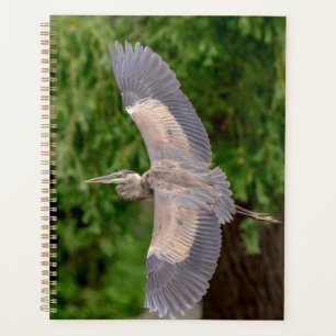 Great Blue Heron 2024 Planer