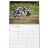 Great Blue Heron 2026 Kalender (Feb 2026)