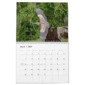 Great Blue Heron 2026 Kalender (Mär 2027)
