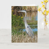 "Great Blue Heron 2."Grußkarte Karte (Gelbe Blume)