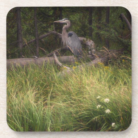 Great Blue Heron 8917 Getränkeuntersetzer (Vorderseite)