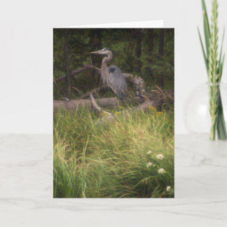 Great Blue Heron 8917 Karte
