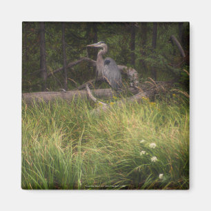 Great Blue Heron 8917 Magnet