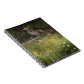 Great Blue Heron 8917 Notizblock (Rechte Seite)