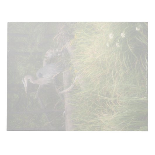Great Blue Heron 8917 Notizblock (Vorderseite)