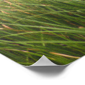 Great Blue Heron 8917 Poster (Ecke)