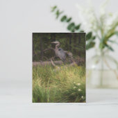 Great Blue Heron 8917 Postkarte (Stehend Vorderseite)