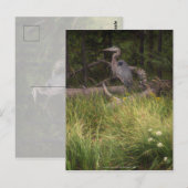Great Blue Heron 8917 Postkarte (Vorne/Hinten)