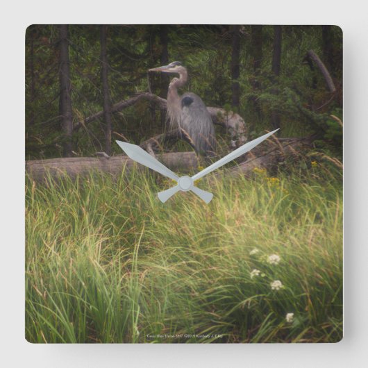 Great Blue Heron 8917 Quadratische Wanduhr (Vorderseite)