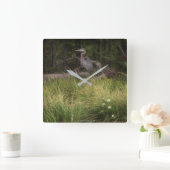 Great Blue Heron 8917 Quadratische Wanduhr (Zuhause)