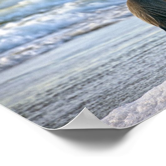 Great Blue Heron am Strand Poster (Ecke)