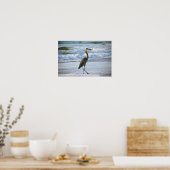 Great Blue Heron am Strand Poster (Küche)