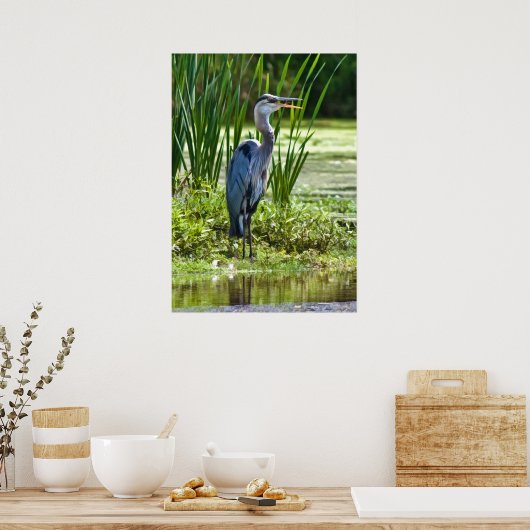 Great Blue Heron am Teich Poster (Küche)