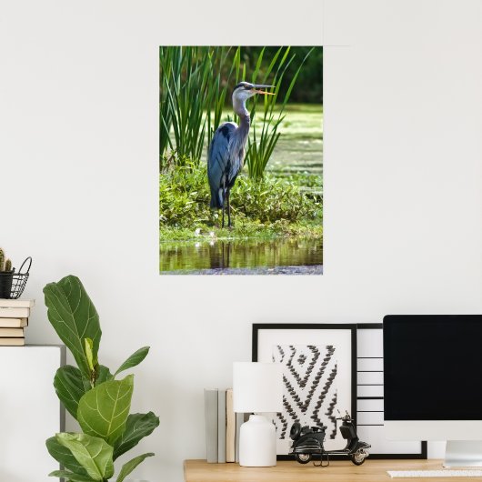 Great Blue Heron am Teich Poster (Heimbüro)