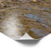 Great Blue Heron an der Extremität Fotodruck (Ecke)