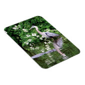 Great Blue Heron and Alligator Magnet (Rechte Seite)