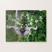 Great Blue Heron and Alligator Puzzle (Horizontal)