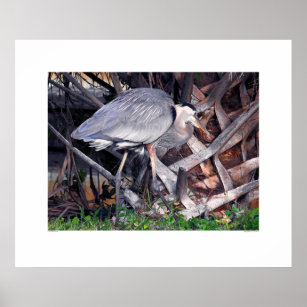 Great Blue Heron and Palm Tree Poster