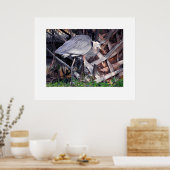 Great Blue Heron and Palm Tree Poster (Küche)
