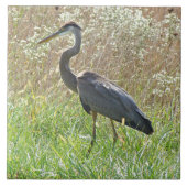 Great Blue Heron - Ardea herodias - #2 Fliese (Vorderseite)