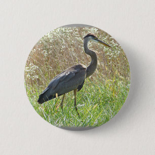 Great Blue Heron - Ardea herodias Button