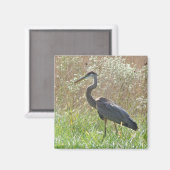 Great Blue Heron - Ardea herodias Magnet (Vorderseite/Rückseite)
