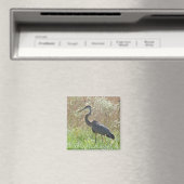Great Blue Heron - Ardea herodias Magnet (In Situ (Geschirrspüler))