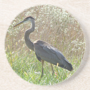 Great Blue Heron - Ardea herodias Sandstein Untersetzer