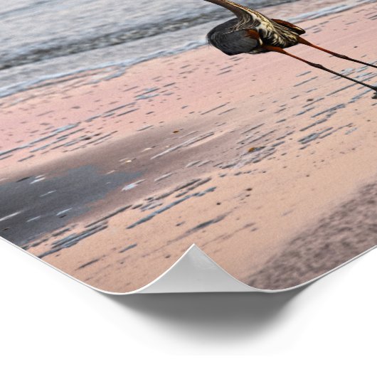 Great Blue Heron at Sunset, Florida Poster (Ecke)
