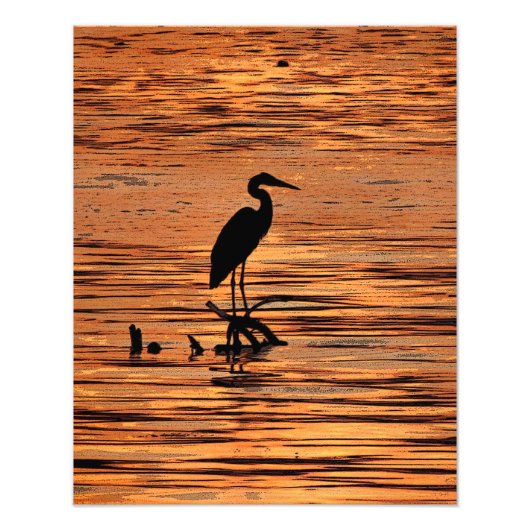 Great Blue Heron at Sunset Fotodruck (Vorne)