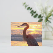 Great Blue Heron at Sunset Postkarte (Stehend Vorderseite)