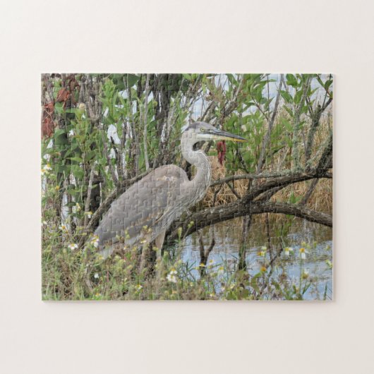 Great Blue Heron - Bird Jigsaw Puzzle (Horizontal)