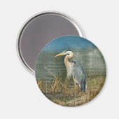 Great Blue Heron Bird Magnet (Vorderseite/Rückseite)