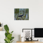 Great Blue Heron Bird Marsh Closeup Poster (Heimbüro)